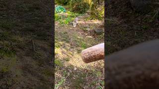 I Went To Call My Relatives Release Date January 12 2026