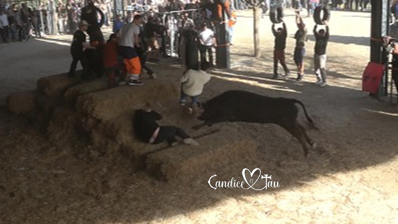 💥COURSE AU PLAN-MAS BLANC-22/02/06🐂