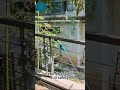 Best pole angle grinder 2026 | Jovant Safe & Convenient
