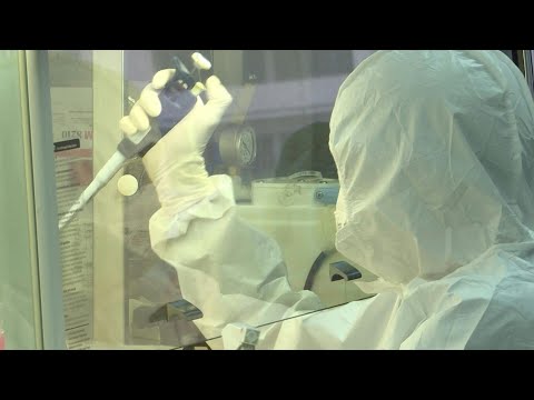 Coronavirus: un laboratoire thaïlandais teste des échantillons du virus | AFP Coronavirus: un laboratoire thaïlandais teste des échantillons du virus | AFP