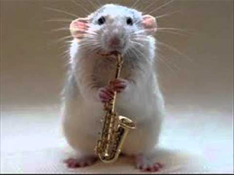 TOP 10 SAX HOUSE MUSIC 2010 ( PEPPE SHOW ).wmv