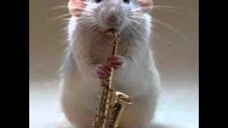 TOP 10 SAX HOUSE MUSIC 2010  ( PEPPE SHOW ).wmv