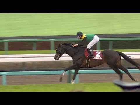 日経賞　大差勝利！！！タイトルホルダー！！！〈現地映像〉