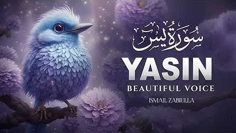 Surah Yasin (Yaseen) for Healing | Relieve Stress, Depression & Anxiety | سورة يس | Ismail zabiulla 