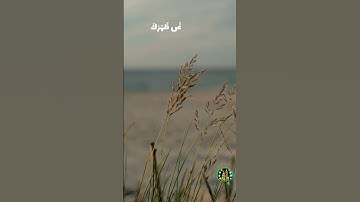 أَلَمْ نَشْرَحْ لَكَ صَدْرَكَ   محمود علي البنا   سورة الشرح