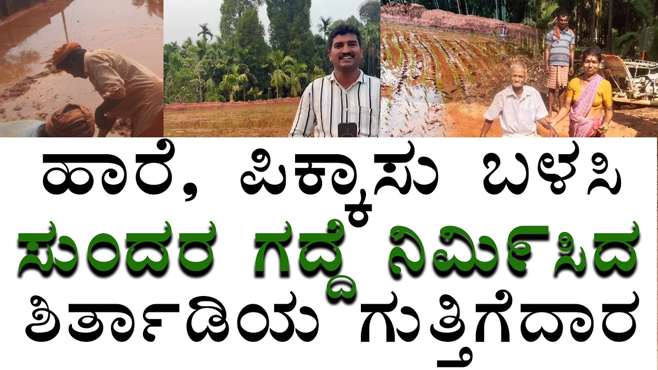 ಹಾರೆ, ಪಿಕ್ಕಾಸು ಬಳಸಿ ಸುಂದರ ಗದ್ದೆ ನಿಮಿ೯ಸಿದ ಶಿರ್ತಾಡಿಯ ಗುತ್ತಿಗೆದಾರ