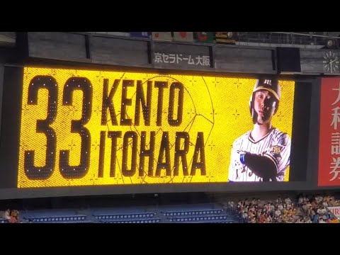 20220813　糸原健斗 奇数打席の登場曲【｢すきにやる｣／変態紳士クラブ】　1回ｳﾗ第1打席　阪神ﾀｲｶﾞｰｽ@京ｾﾗﾄﾞｰﾑ大阪･上段内野3塁