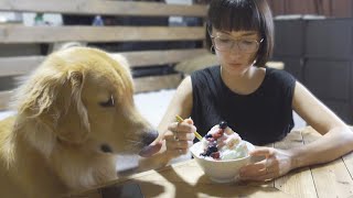 人間が食べれるものは自分も食べれると思っている愛犬