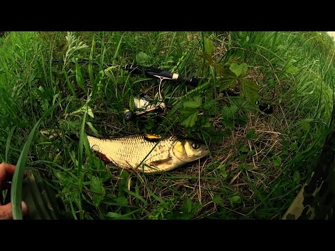 ловля голавля, жереха, на ультралайт. ловля голавля, жереха, на ультралайт.