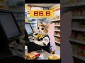 视频小游戏:奶泡猫的日常#小游戏 #眼疾手快What score would you give this photoshopped pic, out of 100?#videominigame