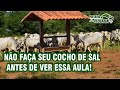 Não faça seu cocho de sal antes de ver essa aula!