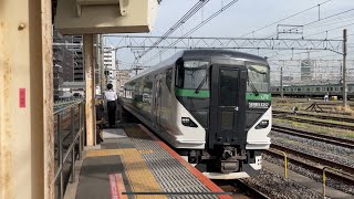 E257系(OM-93編成)【幼稚園遠足団体列車】深谷パンダ号2班深谷行き 尾久駅2番線通過