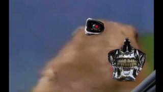 Dramatic Chipmunk Terminator