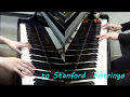 【一人連弾】to Stanford / コトリンゴ【Self Piano Duet】