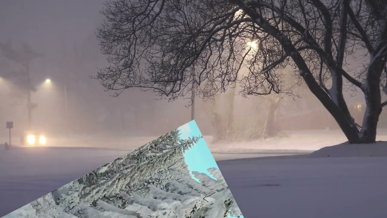 Где ты Милый