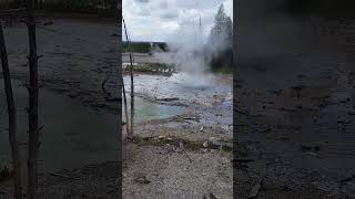 Dej Kub Dej Npau Nyob Yellowstone National Park