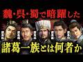【驚愕】魏・呉・蜀の全てで活躍した諸葛一族とは何なのか【三国志】