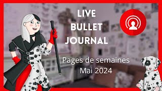 Live Bullet Journal | Semaines de mai 2024 | Cruella