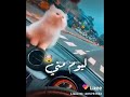 حالات واتس حبيت في جمال سعادتك حالات واتس حبيت في جمال سعادتك