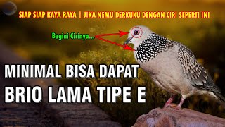 Siap-Siap Kaya Raya | CIRI TEKUKUR/DERKUKU YANG BIKIN KAYA RAYA | Sampai Ratusan Juta |