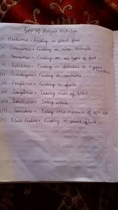types-of-holozoic-nutrition-youtube