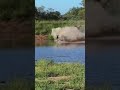 العزيمة وقوة الإرادة وحب الحياه