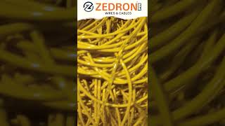 Old And Young Zedron