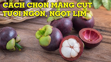 Cách chọn lựa măng cụt ngon, ngọt lịm - Mẹo Vặt Cuộc Sống