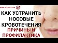 Как устранить носовые кровотечения, причины и профилактика - Тибетская Формула