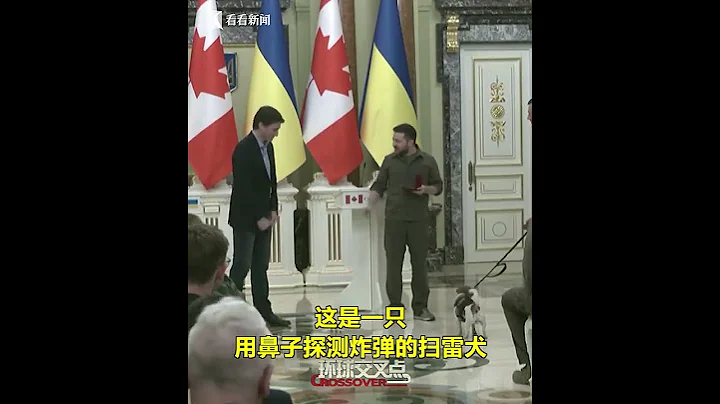 【交叉點評】加拿大總理特魯多到訪烏克蘭，澤連斯基安排"特別環節"，兩人共同給一隻狗頒發勳章 - 天天要聞