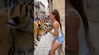 Download Lagu #Woman BARELY Escapes Tiger!#catvstiger #tigerreaction# screaming MP3