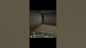 Tôi Troll EnderMan Và Cái Kết …. ! #shorts