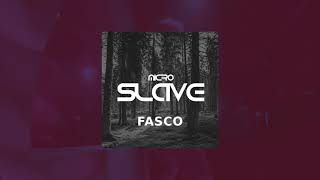Microslave - Fasco