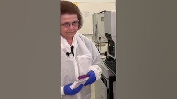 PRODUCT QUALITY CONTROL LABS