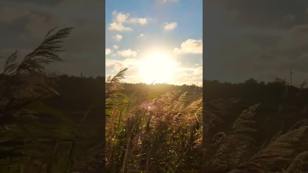 Українське село🇺🇦