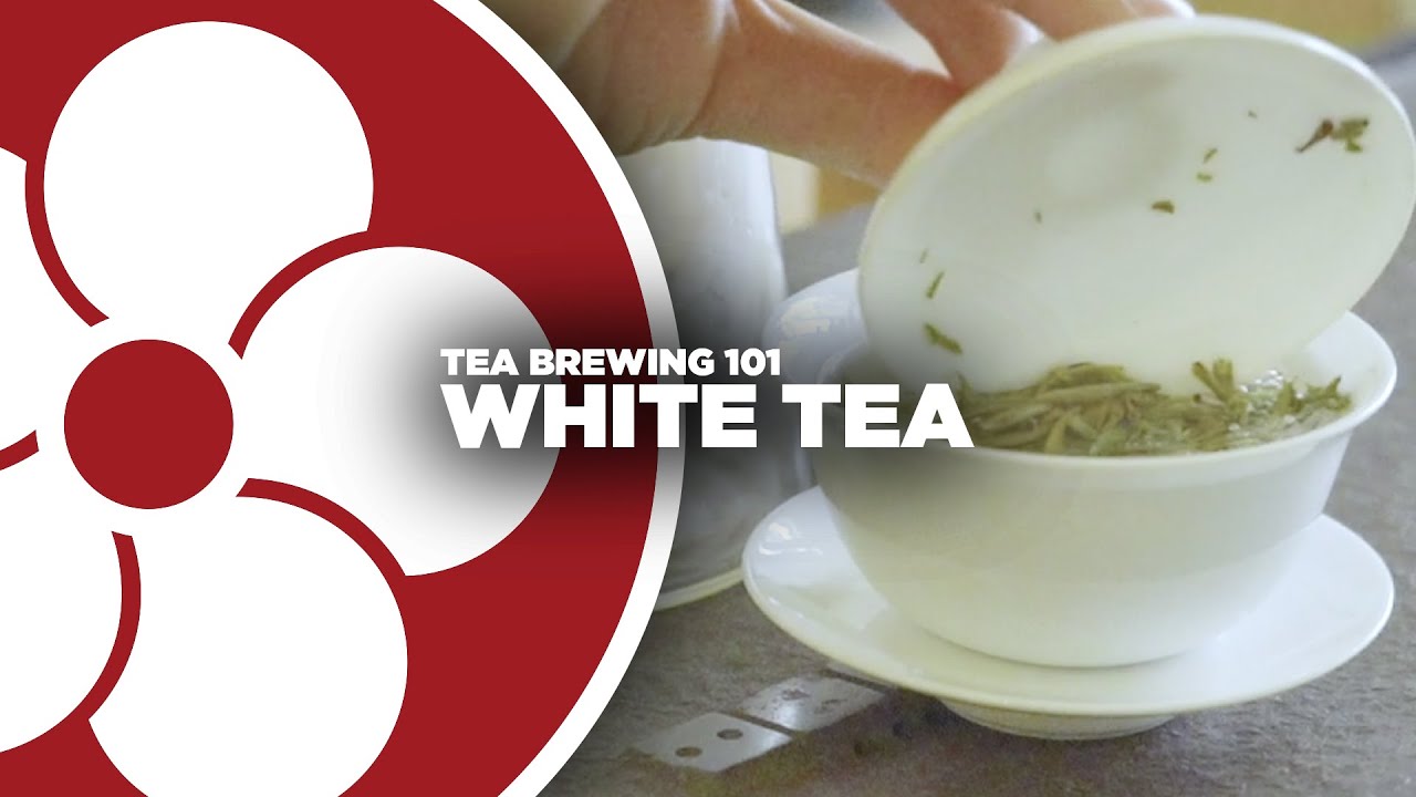Tea Brewing 101 WHITE TEA YouTube