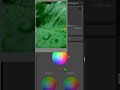 my Lightroom preset editing process #adobe #lightroom #photography #nikon #photooftheday #tutorial