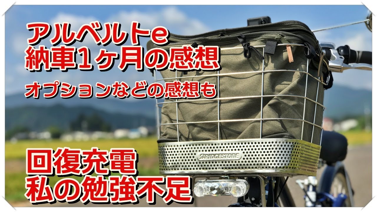 【アルベルトe 納車1ヶ月の感想】回復充電の現実を知る