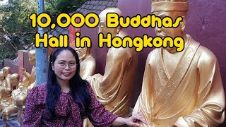 10,000 BUDDHAS HALL HONGKONG 🇭🇰|  Jennychang123