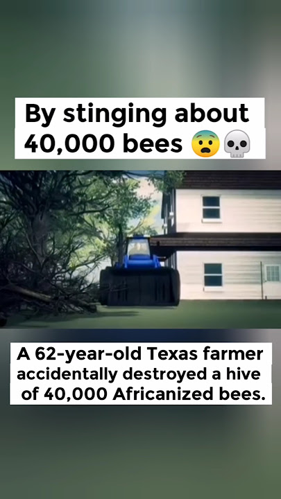 What happens if 40,000 bees sting you? 😨#shorts