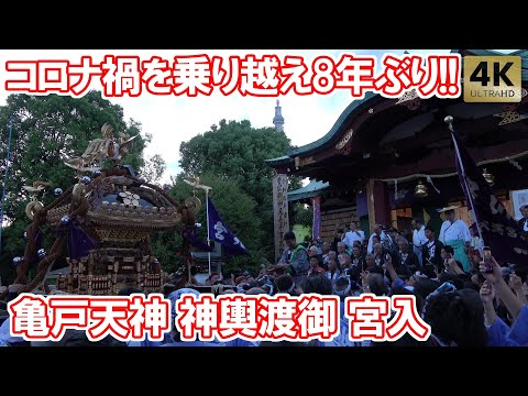 実に8年ぶり!亀戸天神社 神輿渡御 2024 本社神輿宮入 宮元 木遣り 例大祭 Tokyo,Kameido Tenjin Shrine
