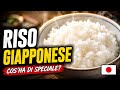 【Cucina Giapponese】Come Cucinare Il Riso Giapponese 🍚 Senza Cuociriso 🇯🇵