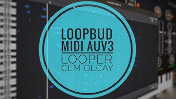Cem Olcay LoopBud AUv3 Midi Looper Walkthrough & Review