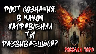 🔥 Рост Сознания: В Каком Направлении Развиваешься? 💖 Расклад таро онлайн 🔥 Гадание на  отношения