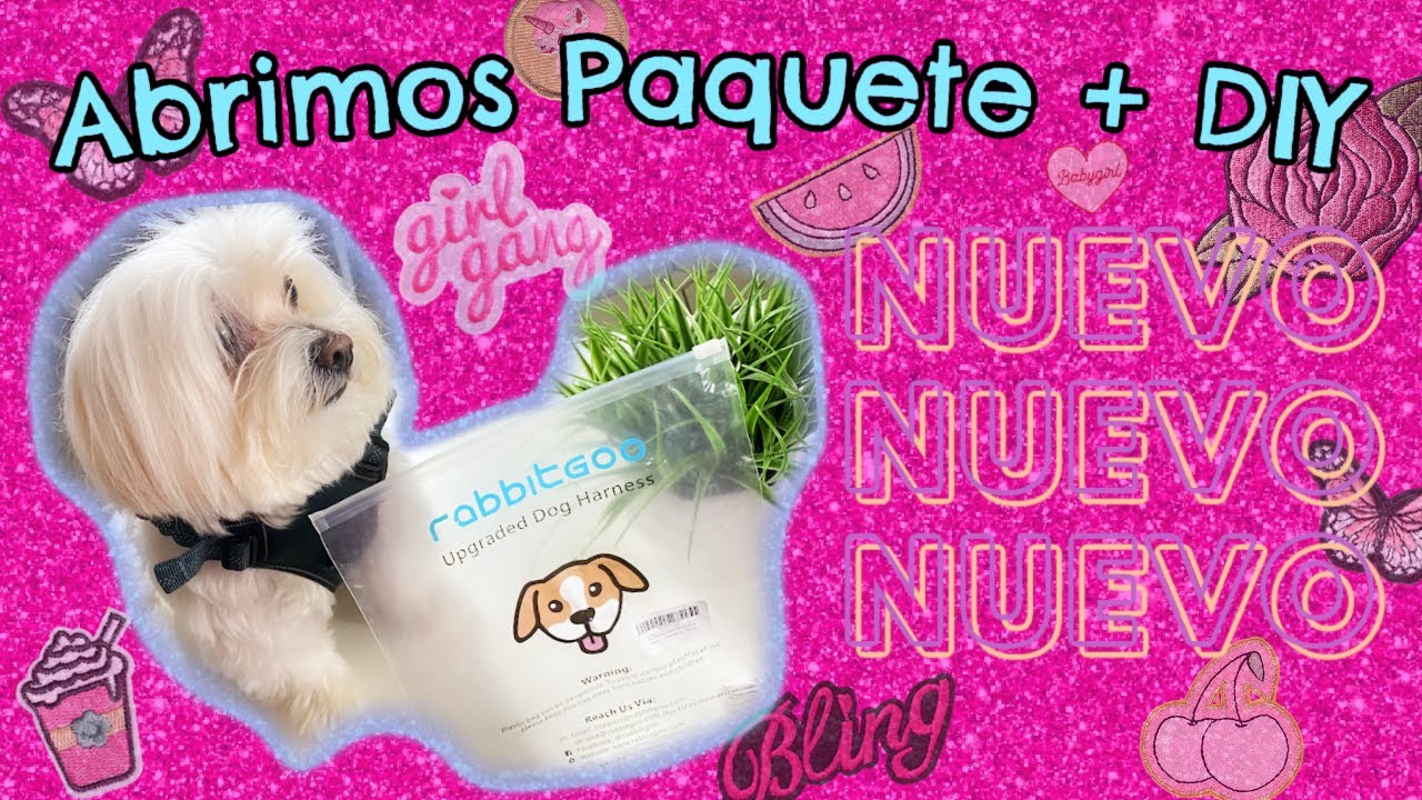 Arnes anti tirones RABBITGOO, DIY, Nuevo Look, Coton de Tulear I Lorentix