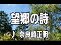 💎  新曲  C/W  「望郷の詩」  奈良崎正明  COVER ♪ hide2288