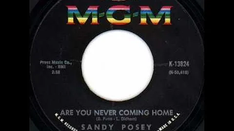 Sandy Posey - Are You Never Coming Home, Mono 1967 MGM 45 record.