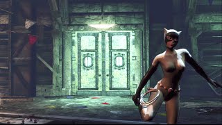 BATMAN: ARKHAM CITY - Funhouse Brawl EXTREME | PERFECT COMBAT (Catwoman: Animated Series)