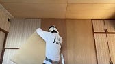 丸玉産業製クロス下地用合板 地球樹 Mクロス Youtube 丸玉産業製クロス下地用合板 地球樹 Mクロス Youtube