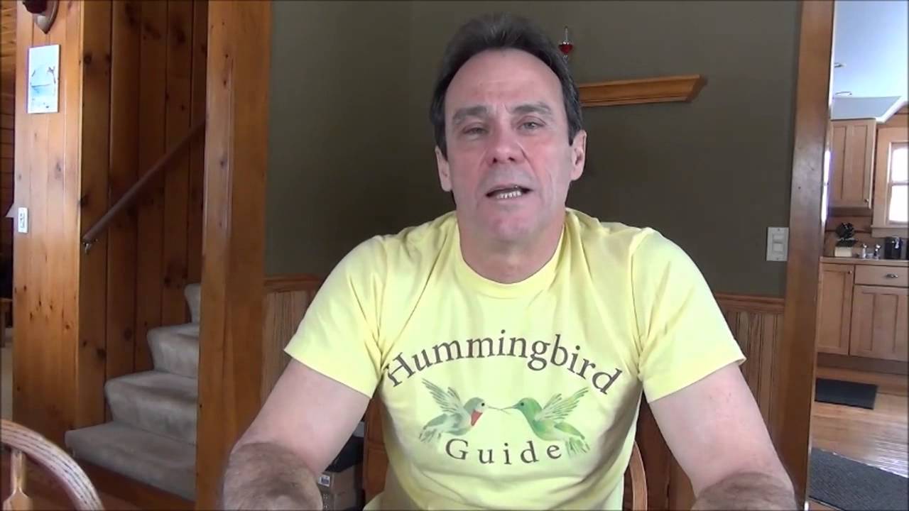 Aspects Jewel Box Window Hummingbird Feeder Review Youtube